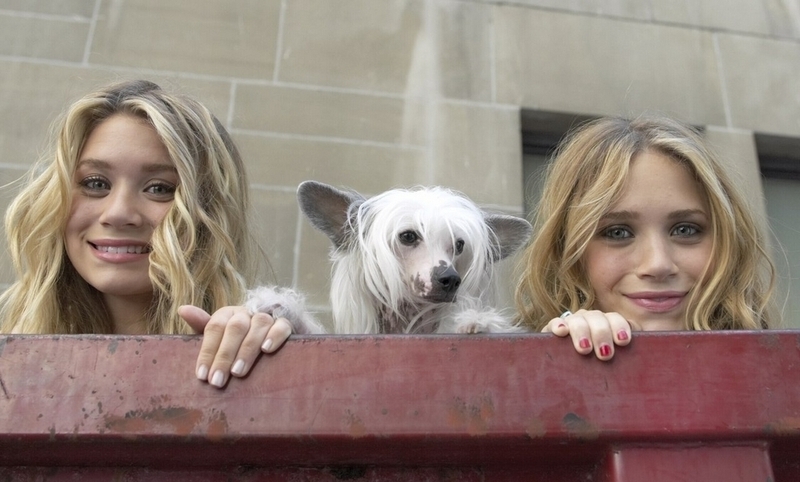 Мэри-Кейт Олсен и Эшли Олсен «Мгновения Нью-Йорка»