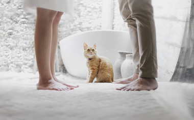 Уйти нельзя остаться: муж хороший, но не люблю и думаю о разводе