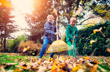 Осенние хлопоты: работы в саду и огороде, которые нужно завершить до конца сентября