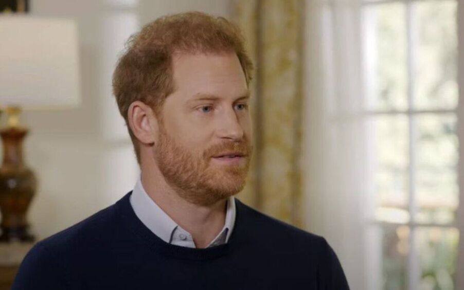 Стало известно, почему принц Гарри не может «брать на себя ответственность»