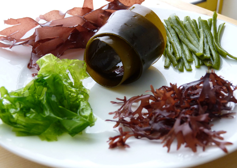 Водоросли: чем полезны и как правильно употреблять — советы нутрициолога