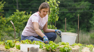 Натурально и безопасно: лучшие подкормки для богатого урожая на вашем участке