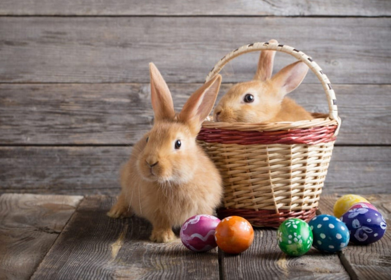 Заяц и красные яйца: любопытные факты о Пасхе, которые вас удивят