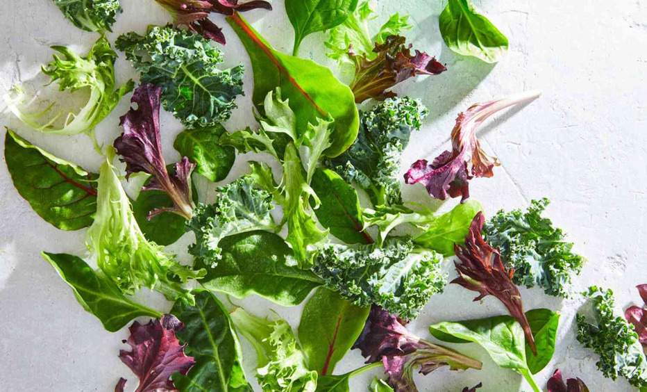 Пять рецептов с первой весенней зеленью, чем она полезна