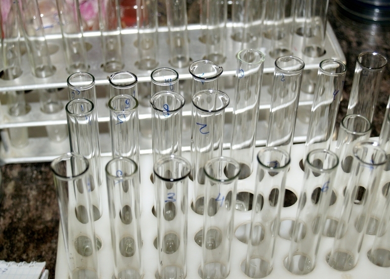 Роспотребнадзор взял под контроль ситуацию с обнаружением вируса Коксаки в России