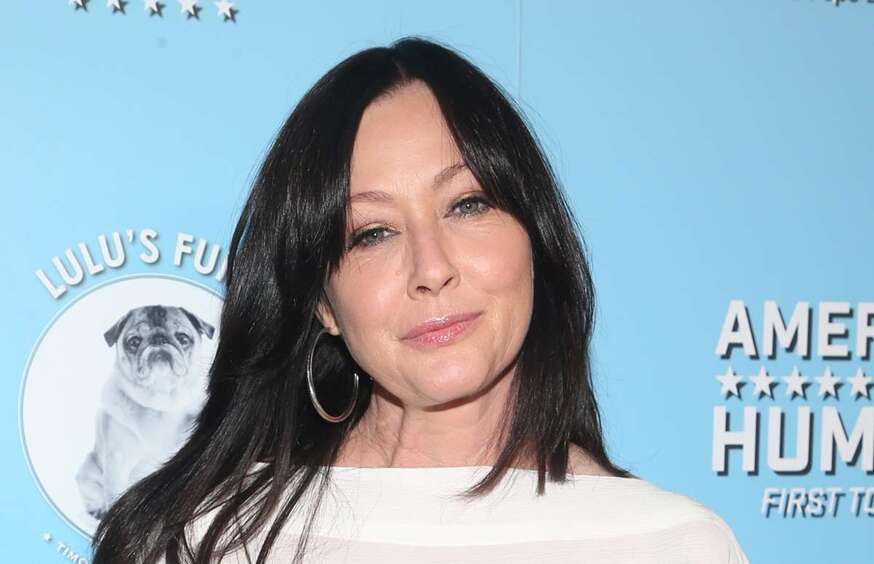 Шеннен Доэрти урегулировала развод с Куртом Исвариенко за день до своей смерти