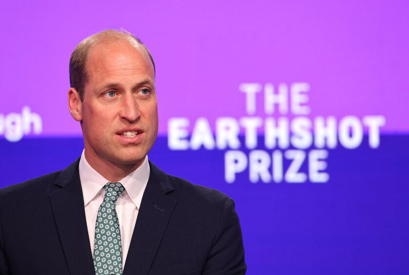 Публика считает, что Уильям скопировал Гарри, придя на концерт Тейлор Свифт