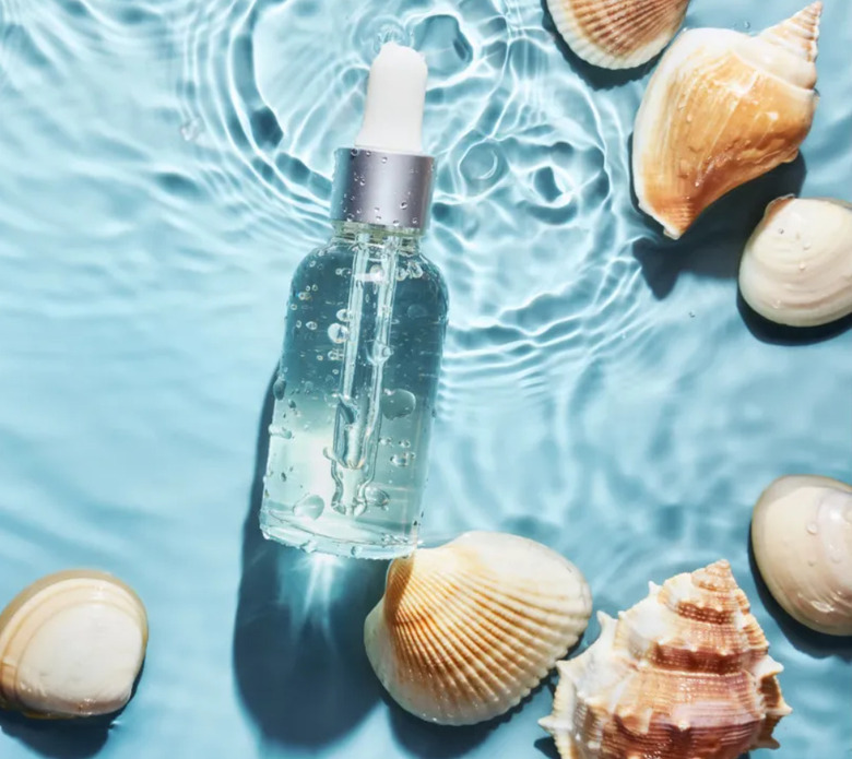 Морская косметика на страже красоты: чем полезны трепанг и чернила каракатицы