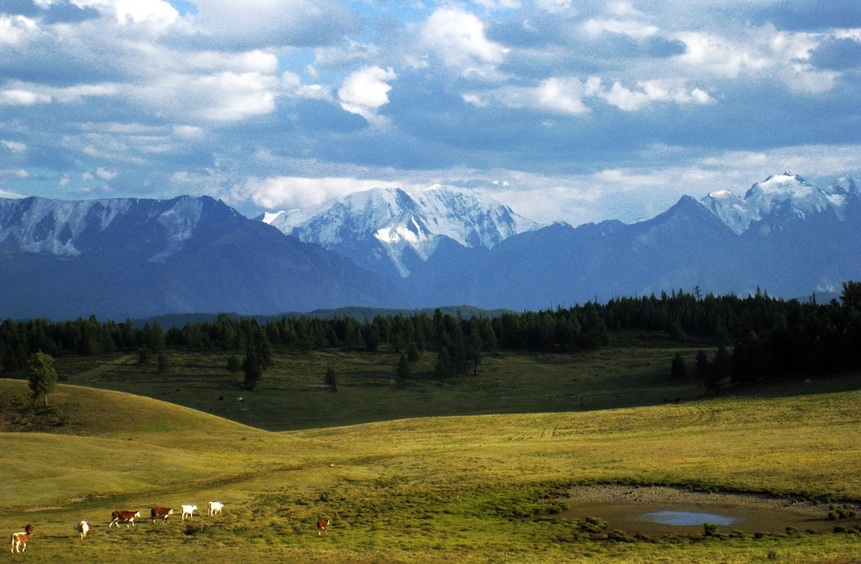 Блогер Алексей Шум извинился за осквернение священного для алтайцев места