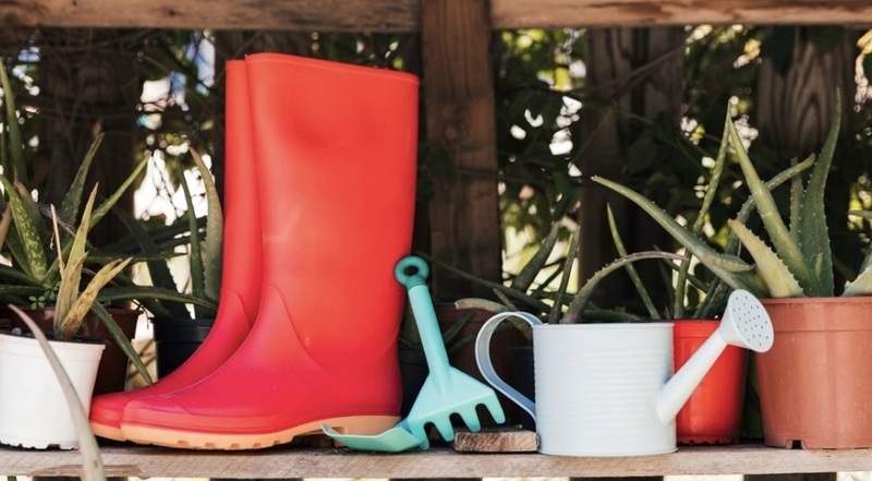 freepik / ru.freepik.com