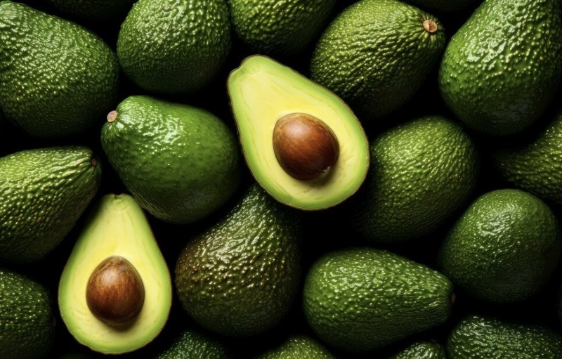 Vectonauta / ru.freepik.com