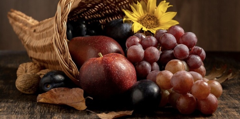 freepik / ru.freepik.com