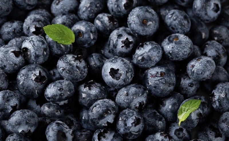 wirestock / ru.freepik.com