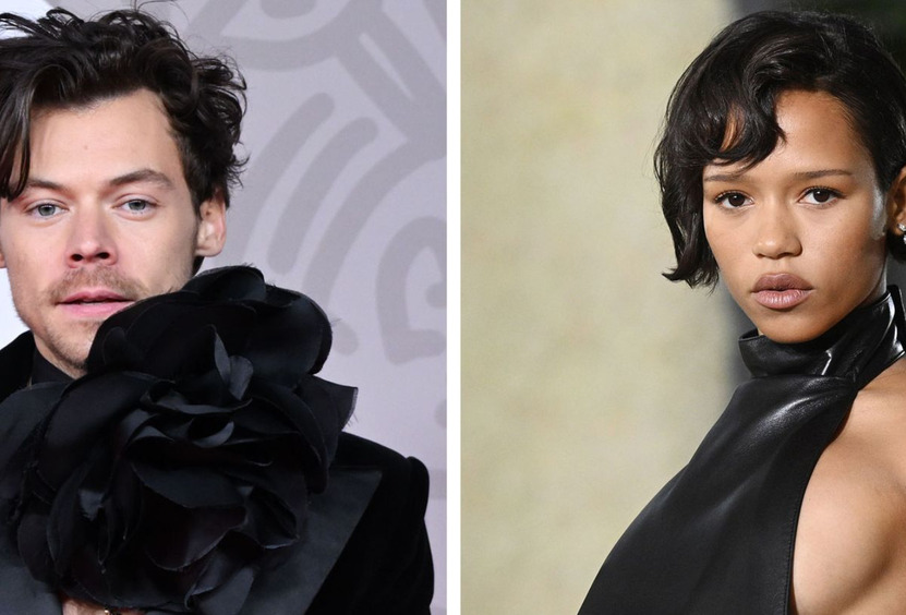 Решающая поездка: Гарри Стайлс и Тейлор Расселл расстались после года отношений