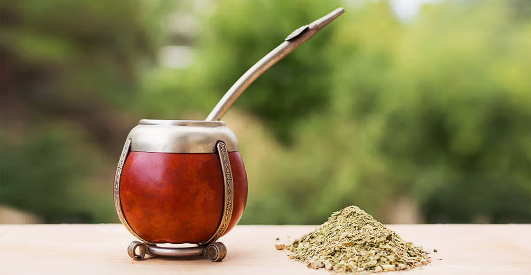 Мате: чем он полезен и зачем пить его ежедневно