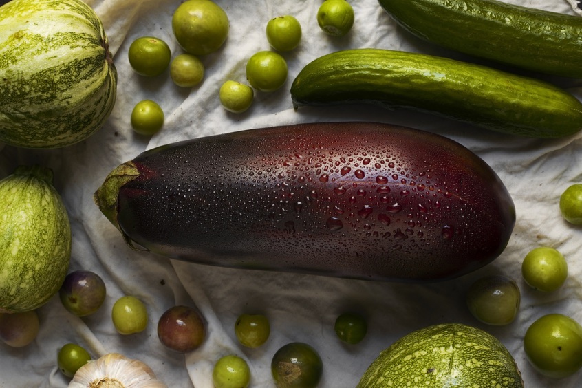 Ученый рассказала, почему садоводам не стоит гнаться за гигантскими плодами