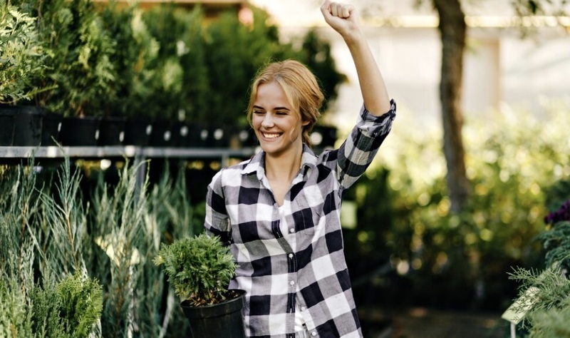 на даче приходится максимально защищаться от паразитов