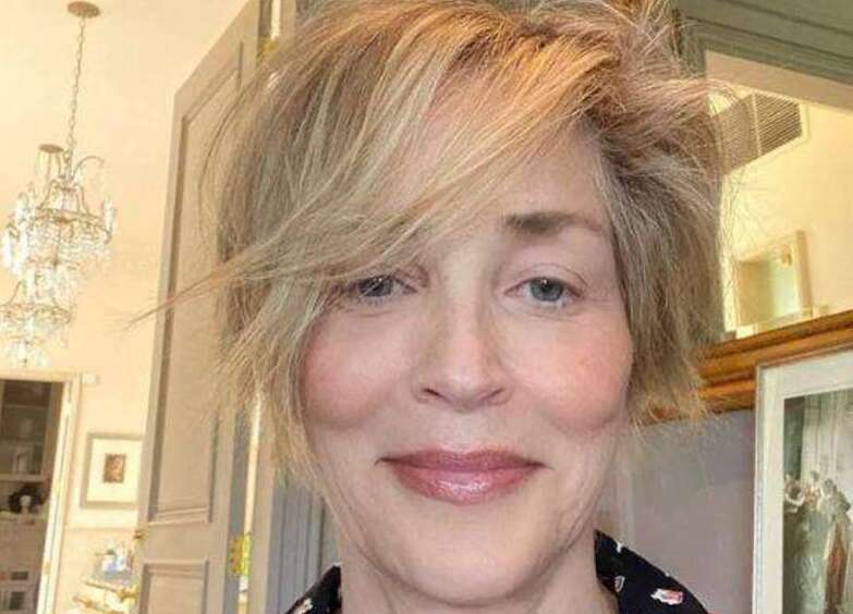 На Шэрон Стоун подали в суд и требуют 35 тысяч долларов