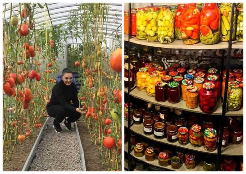 Елена Ваенга знатная дачница