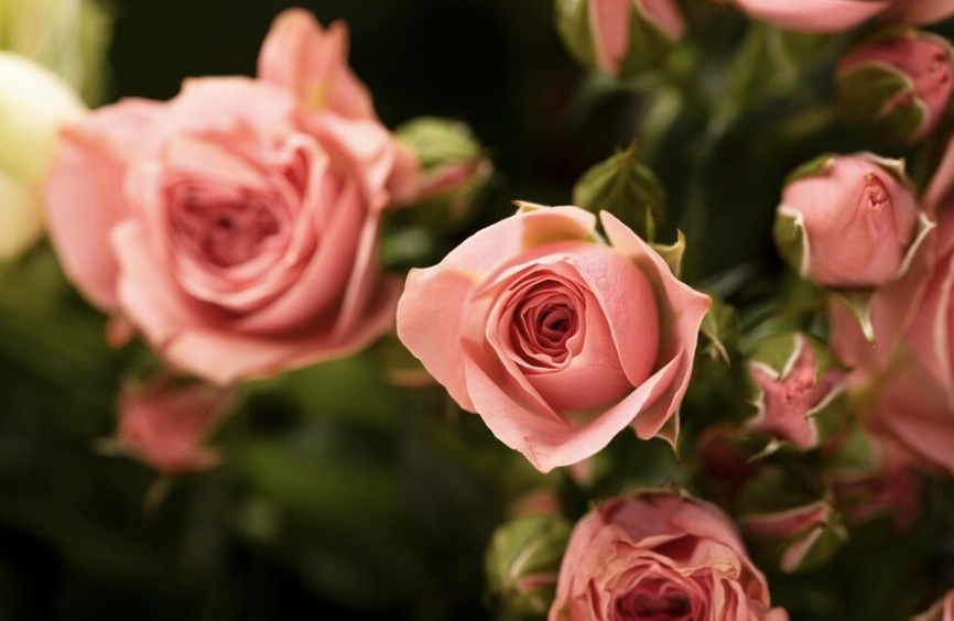 freepik / ru.freepik.com