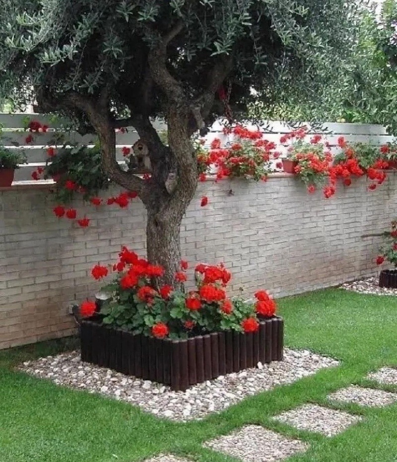 moydacha / соцсети