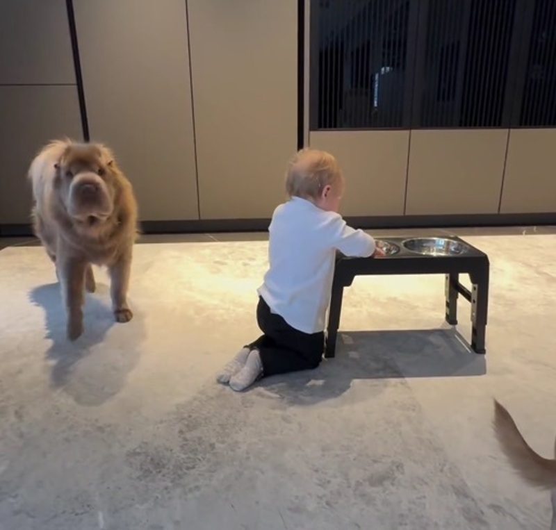 Дочь Ольги Орловой