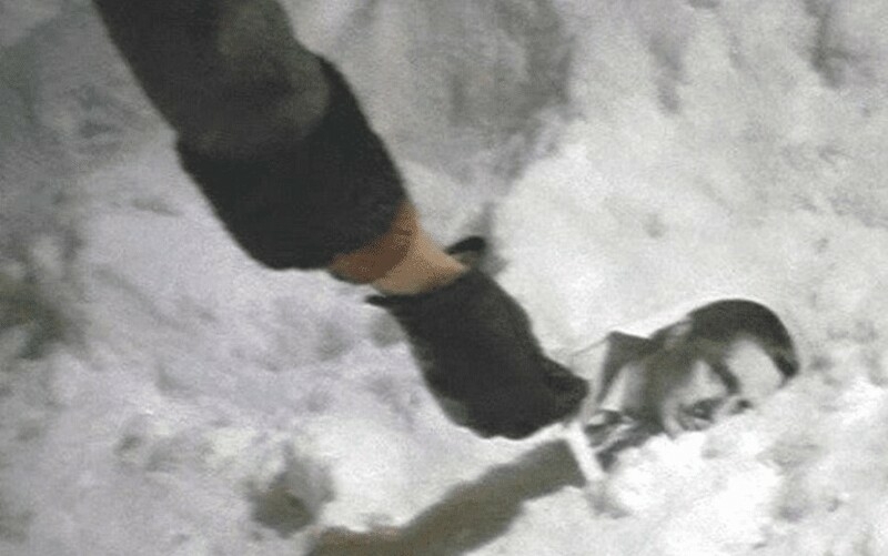 Ирония судьбы