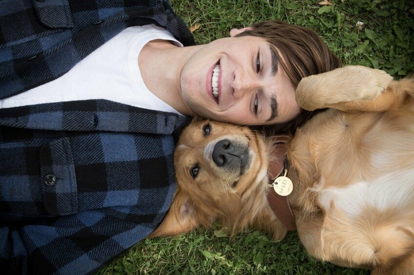 Собаки стараются проявить любовь