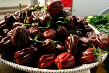 нет, перец не испортился