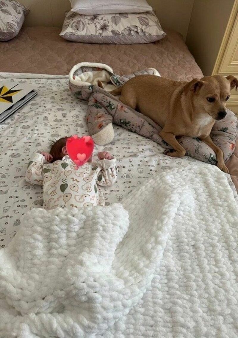 Звезда показала свою маленькую наследницу и собаку Дину