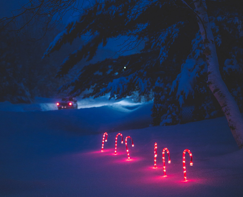 Елочку можно нарядить прямо в лесу