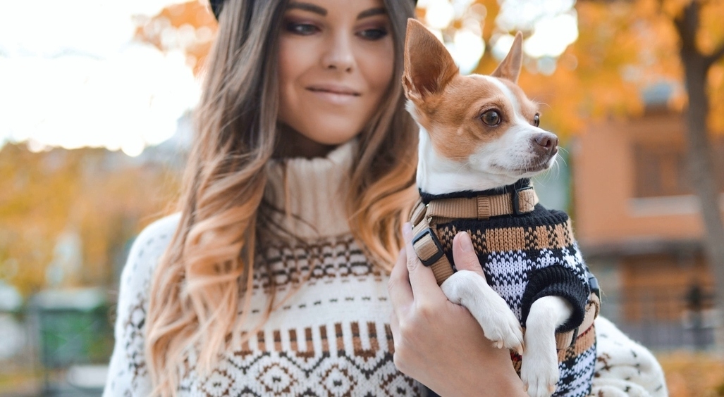 какие модели стоит оставить на полке в магазине