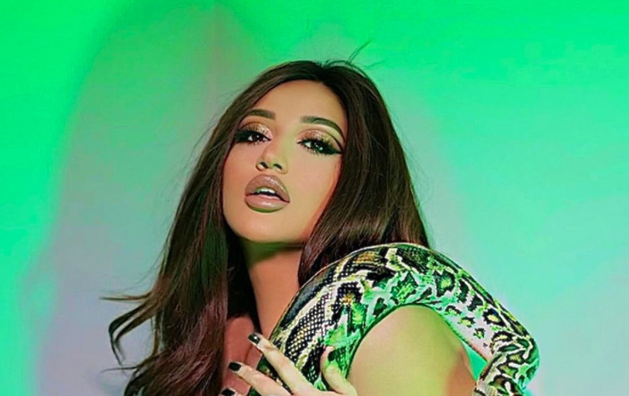 Гоар Аветисян закрасила соски вывалившейся из декольте голой груди