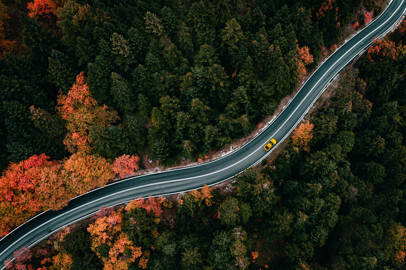 Девам лучше воздержаться от дальних поездок