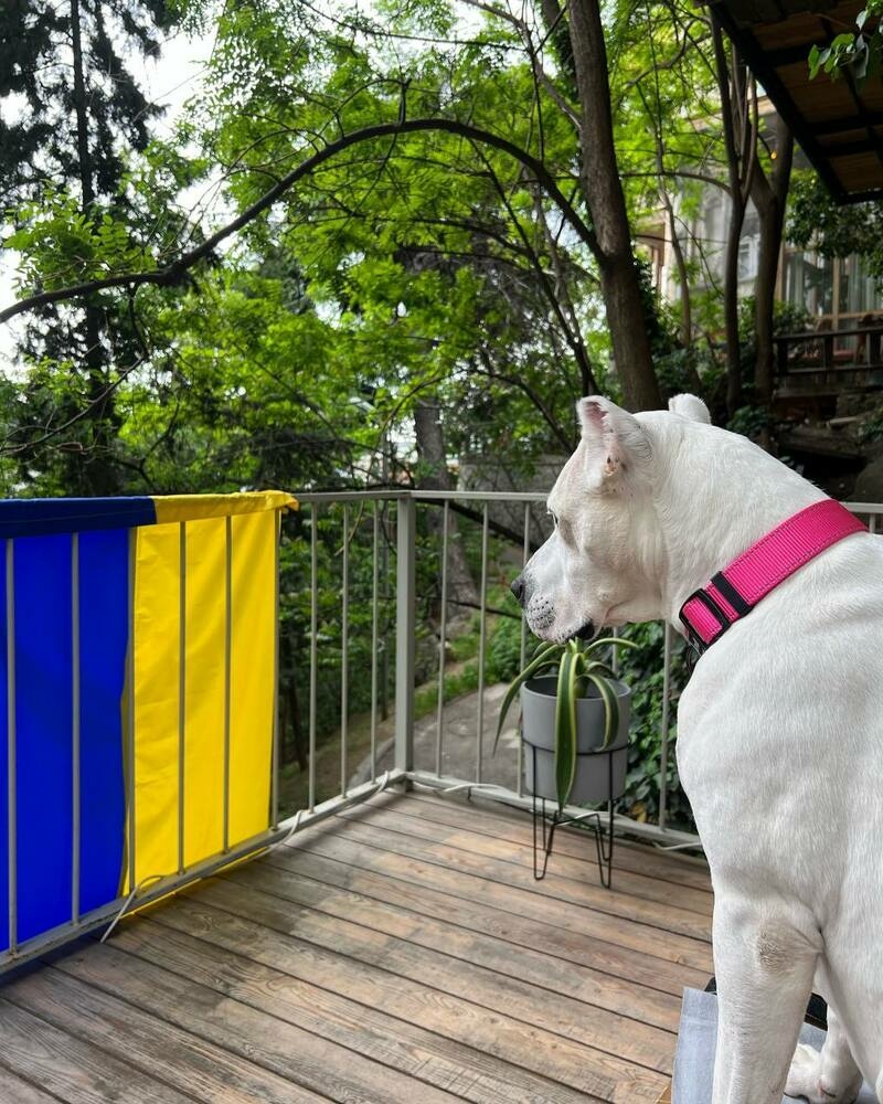 Актриса вывесила флаг Украины на своем балконе