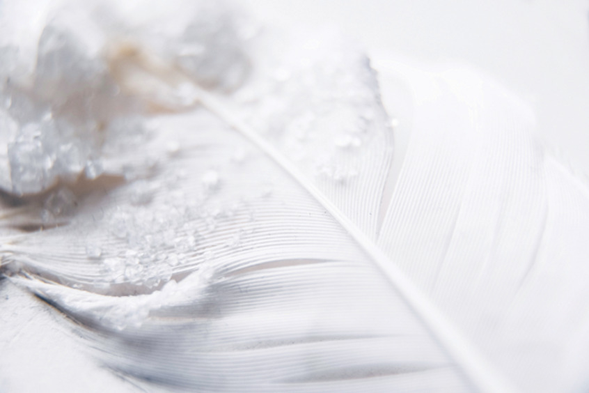 Чем для вас пахнет чистота?