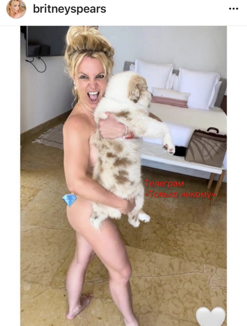 Знаменитость показала свое тело, прикрывшись лишь собакой