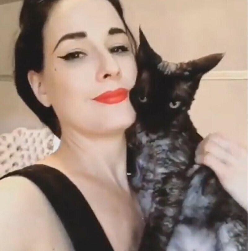 Дита фон Тиз