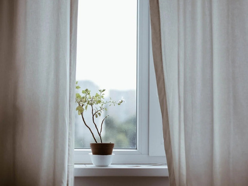 Фото: pixabay.com