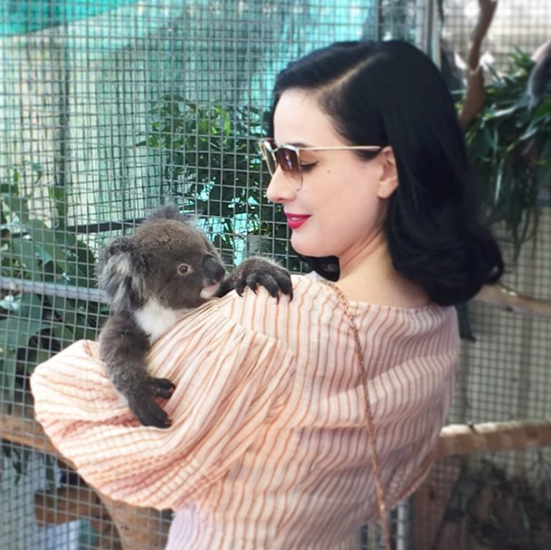 Дита фон Тиз