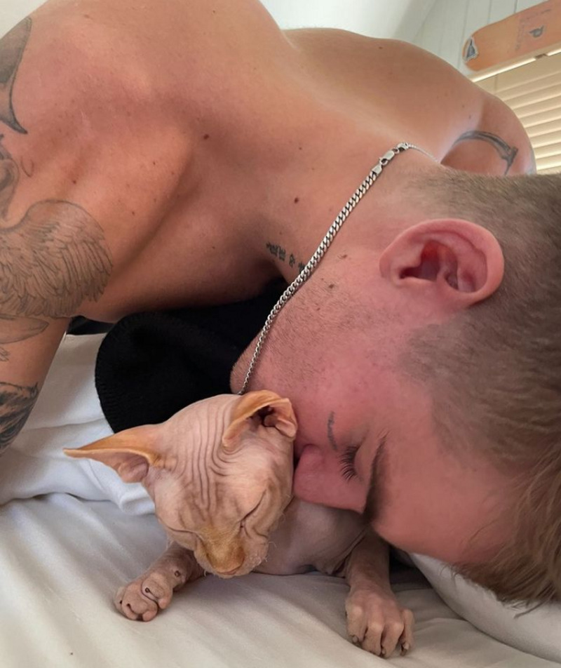 Пресли Гербер