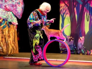 Пушистое шоу, Фавн в Большом, Азбука шедевра: чем заняться в первый месяц года