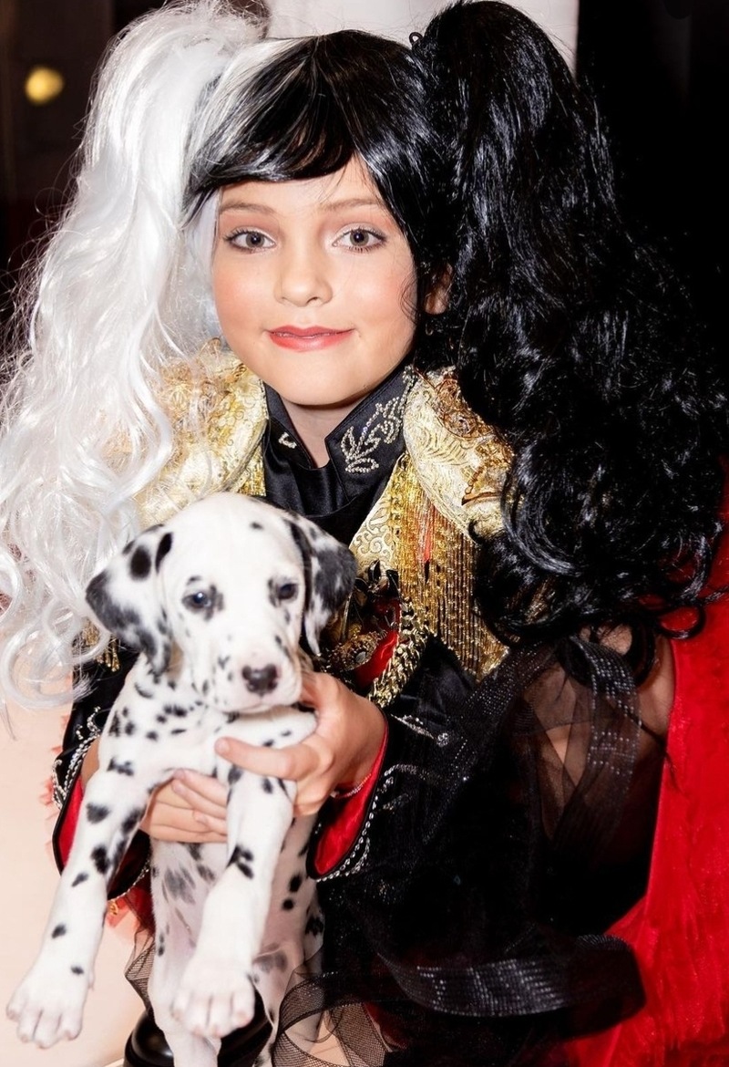 С недавних пор в семье Киркорова появились собаки породы "далматин"