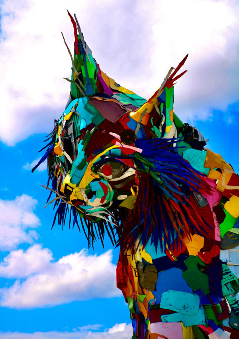 Город вспоминает отношение людей к котам на протяжении многих веков