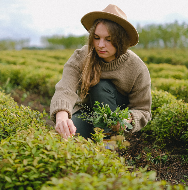 Скоро фермеры смогут получать землю в Подмосковье без торгов