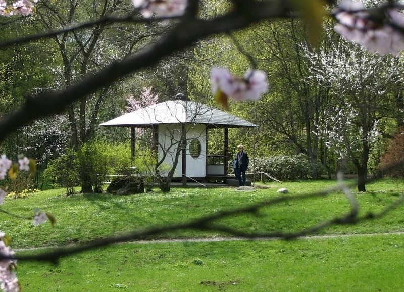 выбираем форму