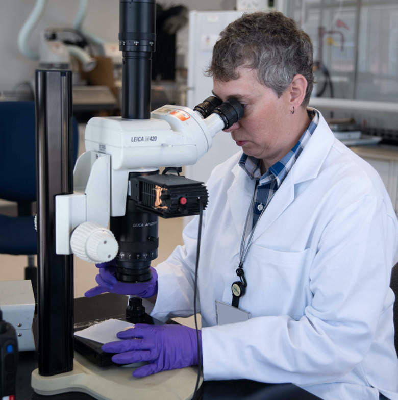 Стало известно о разработке универсальной супервакцины от всех типов коронавируса