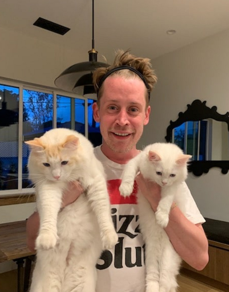 Маколей Калкин