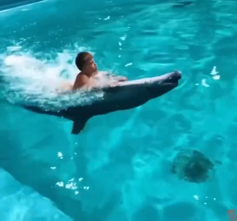 Мальчик успешно прошел курс дельфинотерапии