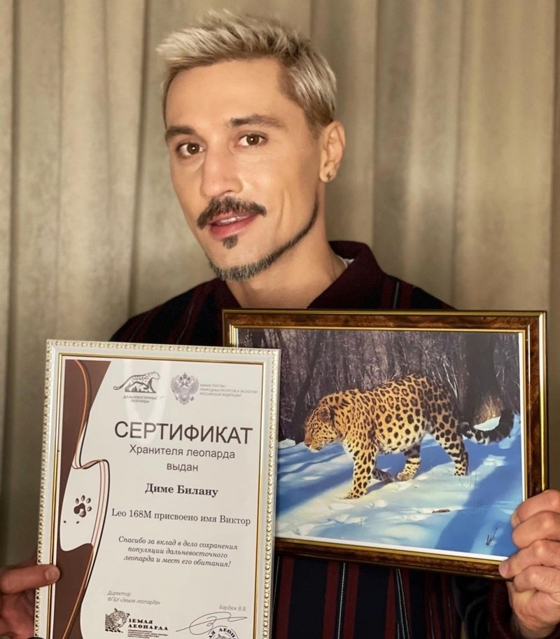 Дима Билан стал куратором леопарда Виктора